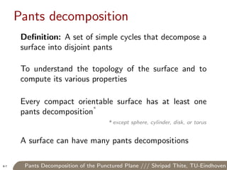 Pants Decomposition of the Punctured Plane