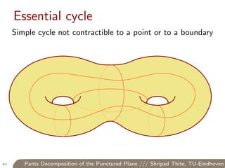 Pants Decomposition of the Punctured Plane