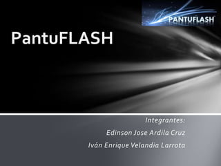 PantuFLASH



                        Integrantes:
            Edinson Jose Ardila Cruz
       Iván Enrique Velandia Larrota
 