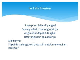Isi Teks Pantun 
Limau purut lebat di pangkal 
Sayang selasih condong uratnya 
Angin ribut dapat di tangkal 
Hati yang kasih apa obatnya 
Maknanya: 
“Apabila sedang jatuh cinta sulit untuk menemukan 
obatnya” 
 
