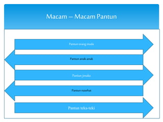 Macam – Macam Pantun 
Pantun orang muda 
Pantun anak-anak 
Pantun jenaka 
Pantun nasehat 
Pantun teka-teki 
 