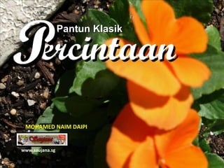 Pantun Klasik ercintaan P www.saujana.sg MOHAMED NAIM DAIPI 