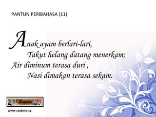 www.saujana.sg PANTUN PERIBAHASA (11) A nak ayam berlari-lari,   Takut helang datang menerkam; Air diminum terasa duri , Nasi dimakan terasa sekam. 