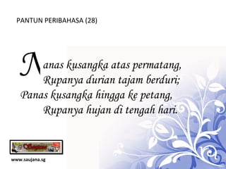 www.saujana.sg PANTUN PERIBAHASA (28) N anas k usangka atas permatang,         Rupanya durian tajam berduri; Panas kusangka hingga ke petang,         Rupanya hujan di tengah hari.  
