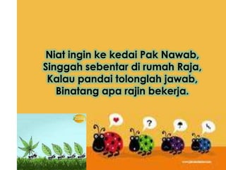 Niat ingin ke kedai Pak Nawab,
Singgah sebentar di rumah Raja,
 Kalau pandai tolonglah jawab,
   Binatang apa rajin bekerja.
 