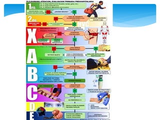 First Aid Organogram Comprehensive First Aid Training for Occupational Health Emergencies | PPTX