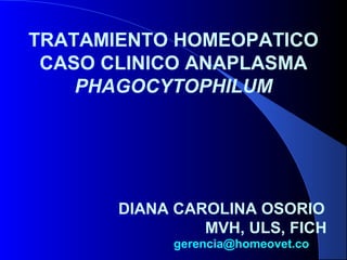 TRATAMIENTO HOMEOPATICO
 CASO CLINICO ANAPLASMA
    PHAGOCYTOPHILUM




       DIANA CAROLINA OSORIO
                MVH, ULS, FICH
             gerencia@homeovet.co
 