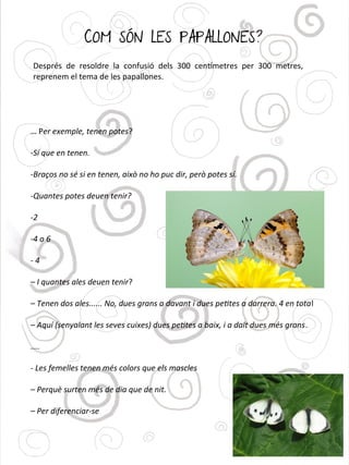 COM SÓN LES PAPALLONES?
… Per exemple, tenen potes?
-Sí que en tenen.
-Braços no sé si en tenen, això no ho puc dir, però potes sí.
-Quantes potes deuen tenir?
-2
-4 o 6
- 4
– I quantes ales deuen tenir?
– Tenen dos ales...... No, dues grans a davant i dues petites a darrera. 4 en total
– Aquí (senyalant les seves cuixes) dues petites a baix, i a dalt dues més grans.
....
- Les femelles tenen més colors que els mascles
– Perquè surten més de dia que de nit.
– Per diferenciar-se
Després de resoldre la confusió dels 300 centmetres per 300 metres,
reprenem el tema de les papallones.
 