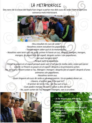 LA METAMORFOSI
Dos nens de la classe del Kapla han vingut a parlar-nos dels cucs de seda i hem tngut una
conversa molt interessant.
-Heu estudiat els cucs de seda?
- Nosaltres estem estudiant les papallones.
- També volem saber què és la metamorfosi.
- Nosaltres vam tenir cucs de seda: primer hi havia un cuc, després mengen, mengen,
mengen, es posen dins del capoll, després surten i són papallones.
- I per què mengen tant?
- Perquè surti la papallona.
- Potser es posen en el capoll perquè quan surt el sol que fa molta calor, estan pel carrer
volant i a l'hivern es posen en el capoll i després a la primavera surten.
- No, perquè a l'hivern estan a l'ou. Mengen i mengen i després fan el capoll i després d'unes
setmanes són papallones.
- Nosaltres tenim ous.
- Quan tinguem els cucs de seda us els ensenyarem. Us en podem donar un.
- Llavors, el primer que hi ha què és?
- El primer de tot és l'ou, i de l'ou surt el cuc.
- Com poden menjar els cucs si estan a dins de l'ou?
- No, quan surten de l'ou mengen i mengen, van a un arbre.
- Jo he tingut cucs de seda.
- Esperen que sigui primavera i mengen
herba.
- Mengen... (buscant una paraula)
- Mengen les fulles d'un arbre.
- Como mora...
- MORERA!
- Sí.
 