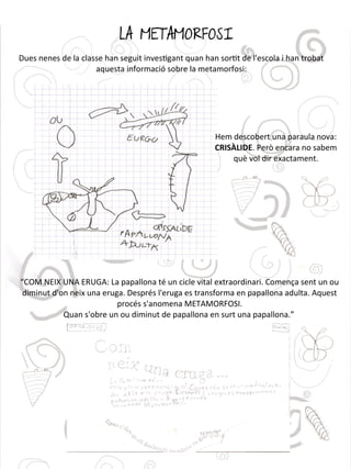 LA METAMORFOSI
Dues nenes de la classe han seguit investgant quan han sortt de l'escola i han trobat
aquesta informació sobre la metamorfosi:
Hem descobert una paraula nova:
CRISÀLIDE. Però encara no sabem
què vol dir exactament.
“COM NEIX UNA ERUGA: La papallona té un cicle vital extraordinari. Comença sent un ou
diminut d'on neix una eruga. Després l'eruga es transforma en papallona adulta. Aquest
procés s'anomena METAMORFOSI.
Quan s'obre un ou diminut de papallona en surt una papallona.”
 