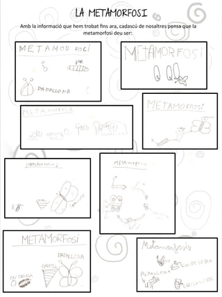 LA METAMORFOSI
Amb la informació que hem trobat fns ara, cadascú de nosaltres pensa que la
metamorfosi deu ser:
 