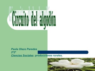 Paola Olazo Paredes
2º2º
Ciencias Sociales: producciones rurales.
 
