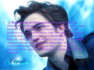   2)  Soluciones profesionales  como es el caso de WordPress o de Movable Type. Ambos Softwares – que también son gratuitos- se instalan en el servidor de hosting y son una alternativa más completa a Blogger y LiveJournal. Estos poseen una flexibilidad mayor a la hora de configurar cada aspecto del blog. Sin embargo, quienes utilicen este software necesitan de ciertos conocimientos en tecnologías web -y un mínimo de programación- para la instalación y mantenimiento del software. 