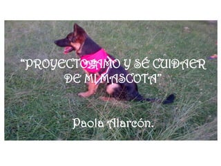 “PROYECTO: AMO Y SÉ CUIDAER
DE MI MASCOTA”
Paola Alarcón.
 