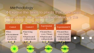 Methodology
Pesticide Pesticide Pesticide
 