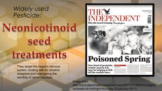 Widely used
Pesticide:
They target the insect’s nervous
system, binding with its nicotinic
receptors and interrupting the
sending of nerve impulses.
Image from:
http://cynicaljournalist.wordpress.com/2011/01/20/front-pages-
reviewed-at-midnight-thursday-20-january-2011/
 
