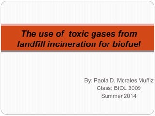 By: Paola D. Morales Muñiz
Class: BIOL 3009
Summer 2014
The use of toxic gases from
landfill incineration for biofuel
 