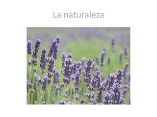 La naturaleza