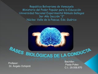 Profesor:
Dr. Ángelo Ochipinti
Bachiller:
Paola Poleo
C.I.: 29.558.870
 
