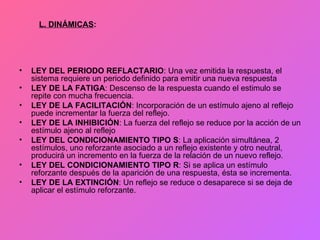 LEY DEL PERIODO REFLACTARIO : Una vez emitida la respuesta, el sistema requiere un periodo definido para emitir una nueva respuesta LEY DE LA FATIGA : Descenso de la respuesta cuando el estimulo se repite con mucha frecuencia. LEY DE LA FACILITACIÓN : Incorporación de un estímulo ajeno al reflejo puede incrementar la fuerza del reflejo. LEY DE LA INHIBICIÓN : La fuerza del reflejo se reduce por la acción de un estímulo ajeno al reflejo LEY DEL CONDICIONAMIENTO TIPO S : La aplicación simultánea, 2 estímulos, uno reforzante asociado a un reflejo existente y otro neutral, producirá un incremento en la fuerza de la relación de un nuevo reflejo. LEY DEL CONDICIONAMIENTO TIPO R : Si se aplica un estímulo reforzante después de la aparición de una respuesta, ésta se incrementa. LEY DE LA EXTINCIÓN : Un reflejo se reduce o desaparece si se deja de aplicar el estímulo reforzante. L. DINÁMICAS : 