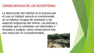 CONSECUENCIAS DE LOS ECOSISTEMAS
La destrucción del hábitat es el proceso por
el cual un hábitat natural es transformado
en un hábitat incapaz de mantener a las
especies originarias del mismo. Las plantas y
animales que lo utilizaban son destruidas o
forzadas a emigrar, como consecuencia hay
una reducción en la biodiversidad..
 