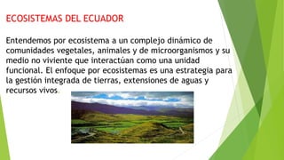 ECOSISTEMAS DEL ECUADOR
Entendemos por ecosistema a un complejo dinámico de
comunidades vegetales, animales y de microorganismos y su
medio no viviente que interactúan como una unidad
funcional. El enfoque por ecosistemas es una estrategia para
la gestión integrada de tierras, extensiones de aguas y
recursos vivos.
 