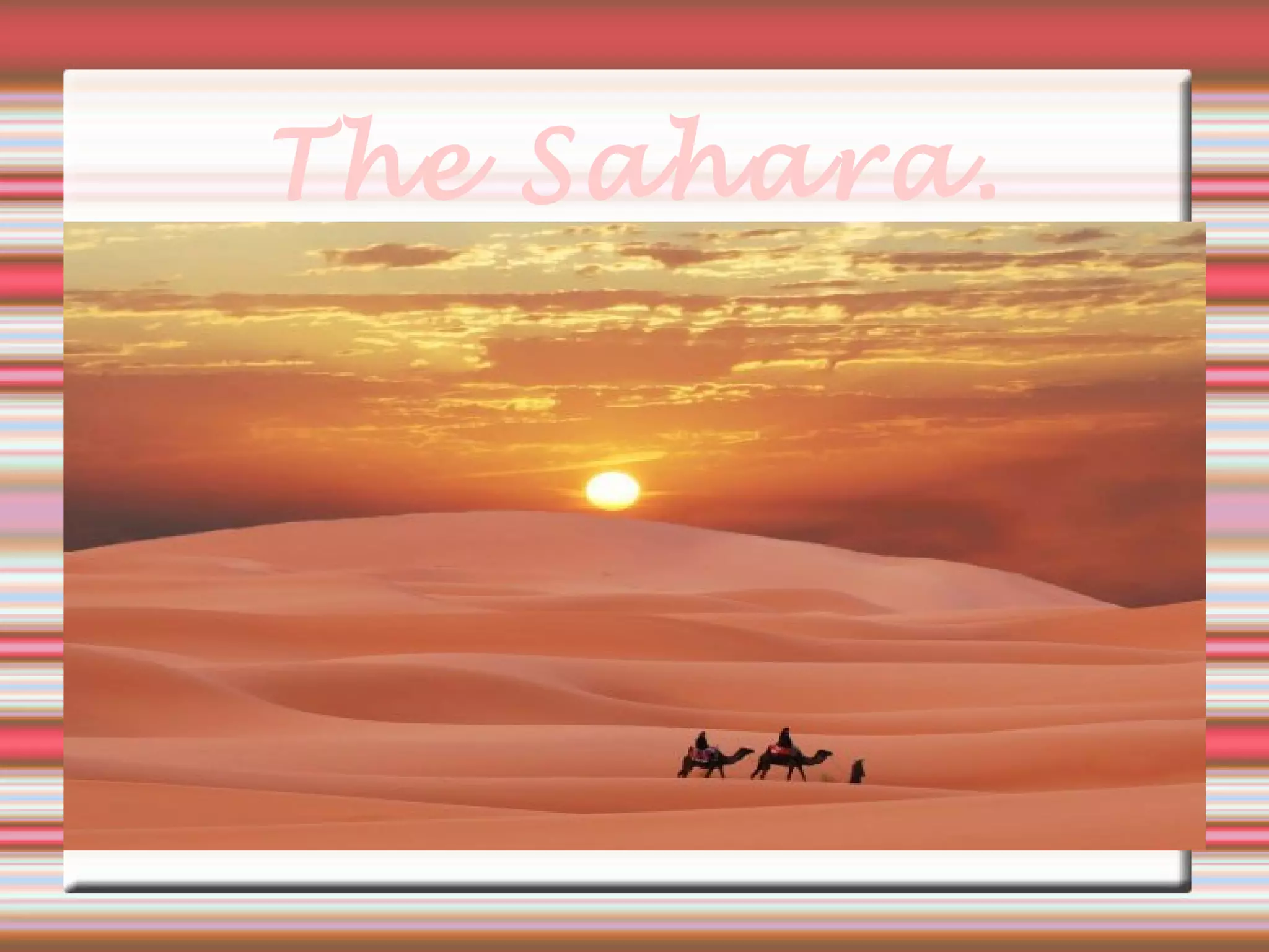 The Sahara.
 