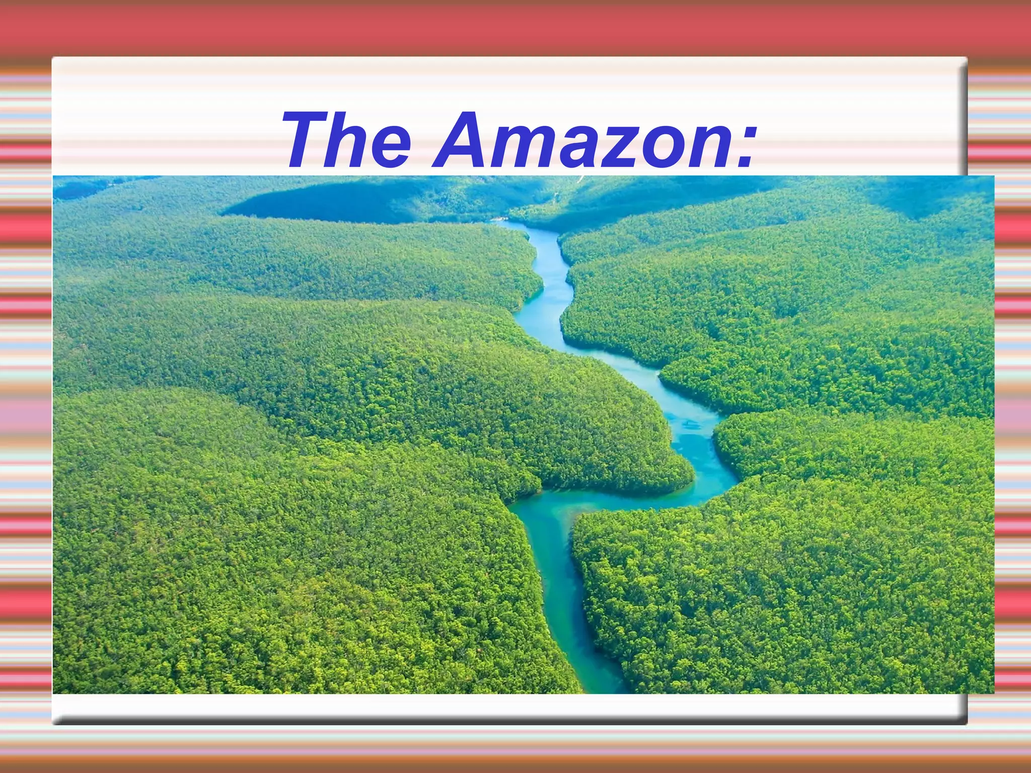 The Amazon:
 