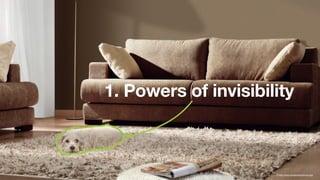 © http://www.amigosdosbichos.org/
1. Powers of invisibility
 