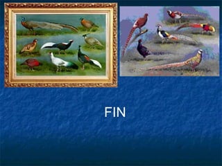 FIN
 