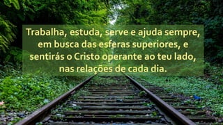 Trabalha, estuda, serve e ajuda sempre,
em busca das esferas superiores, e
sentirás o Cristo operante ao teu lado,
nas relações de cada dia.
 