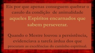 Eis por que apenas conseguem quebrar o
casulo da condição de animalidade
aqueles Espíritos encarnados que
sabem perseverar.
Quando o Mestre louvou a persistência,
evidenciava a tarefa árdua dos que
procuram as excelências do caminho espiritual.
 