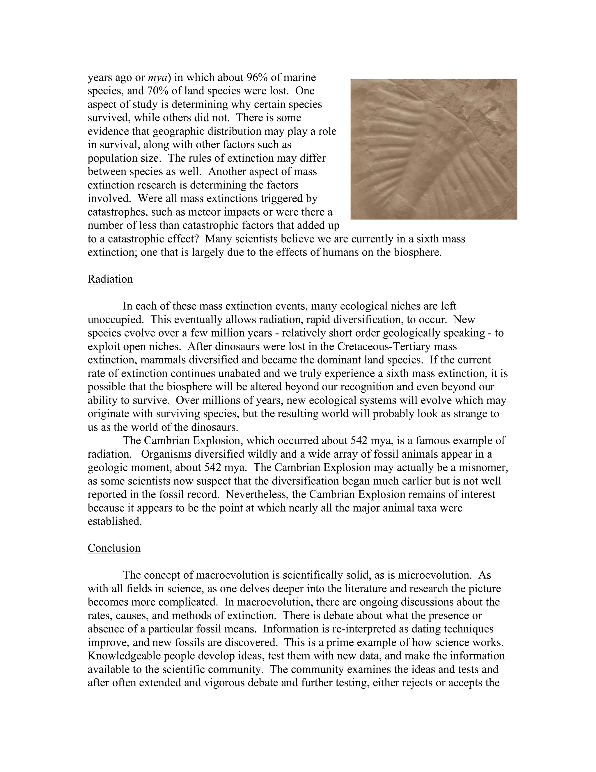 years ago or mya) in which about 96% of marine
species, and 70% of land species were lost. One
aspect of study is determining why certain species
survived, while others did not. There is some
evidence that geographic distribution may play a role
in survival, along with other factors such as
population size. The rules of extinction may differ
between species as well. Another aspect of mass
extinction research is determining the factors
involved. Were all mass extinctions triggered by
catastrophes, such as meteor impacts or were there a
number of less than catastrophic factors that added up
to a catastrophic effect? Many scientists believe we are currently in a sixth mass
extinction; one that is largely due to the effects of humans on the biosphere.
Radiation
In each of these mass extinction events, many ecological niches are left
unoccupied. This eventually allows radiation, rapid diversification, to occur. New
species evolve over a few million years - relatively short order geologically speaking - to
exploit open niches. After dinosaurs were lost in the Cretaceous-Tertiary mass
extinction, mammals diversified and became the dominant land species. If the current
rate of extinction continues unabated and we truly experience a sixth mass extinction, it is
possible that the biosphere will be altered beyond our recognition and even beyond our
ability to survive. Over millions of years, new ecological systems will evolve which may
originate with surviving species, but the resulting world will probably look as strange to
us as the world of the dinosaurs.
The Cambrian Explosion, which occurred about 542 mya, is a famous example of
radiation. Organisms diversified wildly and a wide array of fossil animals appear in a
geologic moment, about 542 mya. The Cambrian Explosion may actually be a misnomer,
as some scientists now suspect that the diversification began much earlier but is not well
reported in the fossil record. Nevertheless, the Cambrian Explosion remains of interest
because it appears to be the point at which nearly all the major animal taxa were
established.
Conclusion
The concept of macroevolution is scientifically solid, as is microevolution. As
with all fields in science, as one delves deeper into the literature and research the picture
becomes more complicated. In macroevolution, there are ongoing discussions about the
rates, causes, and methods of extinction. There is debate about what the presence or
absence of a particular fossil means. Information is re-interpreted as dating techniques
improve, and new fossils are discovered. This is a prime example of how science works.
Knowledgeable people develop ideas, test them with new data, and make the information
available to the scientific community. The community examines the ideas and tests and
after often extended and vigorous debate and further testing, either rejects or accepts the
 