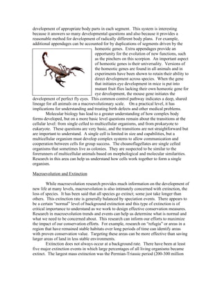 development of appropriate body parts in each segment. This system is interesting
because it answers so many developmental questions and also because it provides a
reasonable method for development of radically different body plans. For example,
additional appendages can be accounted for by duplications of segments driven by the
homeotic genes. Extra appendages provide an
opportunity for the evolution of new functions, such
as the pinchers on this scorpion. An important aspect
of homeotic genes is their universality. Versions of
the homeotic genes are found in all animals and in
experiments have been shown to retain their ability to
direct development across species. When the gene
that initiates eye development in mice is put into
mutant fruit flies lacking their own homeotic gene for
eye development, the mouse gene initiates the
development of perfect fly eyes. This common control pathway indicates a deep, shared
lineage for all animals on a macroevolutionary scale. On a practical level, it has
implications for understanding and treating birth defects and other medical problems.
Molecular biology has lead to a greater understanding of how complex body
forms developed, but on a more basic level questions remain about the transitions at the
cellular level: from single celled to multicellular organisms, and from prokaryote to
eukaryote. These questions are very basic, and the transitions are not straightforward but
are important to understand. A single cell is limited in size and capabilities, but a
multicellular organism must develop complex systems to allow communication and
cooperation between cells for group success. The choanoflagellates are single celled
organisms that sometimes live as colonies. They are suspected to be similar to the
forerunners of multicellular animals based on morphological and molecular similarities.
Research in this area can help us understand how cells work together to form a single
organism.
Macroevolution and Extinction
While macroevolution research provides much information on the development of
new life at many levels, macroevolution is also intimately concerned with extinction, the
loss of species. It has been said that all species go extinct; some just take longer than
others. This extinction rate is generally balanced by speciation events. There appears to
be a certain “normal” level of background extinction and this type of extinction is of
critical importance to understand as we work to design effective conservation measures.
Research in macroevolution trends and events can help us determine what is normal and
what we need to be concerned about. This research can inform our efforts to maximize
the impact of our conservation efforts. For example, research on “refugia” or areas in a
region that have remained stable habitats over long periods of time can identify areas
with proven conservation value. Targeting these areas can be more effective than saving
larger areas of land in less stable environments.
Extinction does not always occur at a background rate. There have been at least
five major extinction events in which large percentages of all living organisms became
extinct. The largest mass extinction was the Permian-Triassic period (200-300 million
 