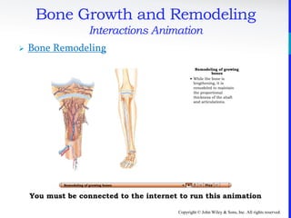 Copyright © John Wiley & Sons, Inc. All rights reserved.
Bone Growth and Remodeling
Interactions Animation
 Bone Remodeling
You must be connected to the internet to run this animation
 