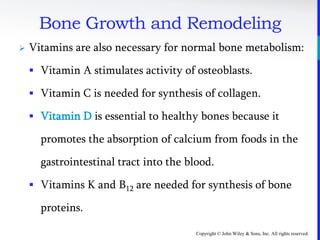 Copyright © John Wiley & Sons, Inc. All rights reserved.
Bone Growth and Remodeling
 Vitamins are also necessary for normal bone metabolism:
 Vitamin A stimulates activity of osteoblasts.
 Vitamin C is needed for synthesis of collagen.
 Vitamin D is essential to healthy bones because it
promotes the absorption of calcium from foods in the
gastrointestinal tract into the blood.
 Vitamins K and B12 are needed for synthesis of bone
proteins.
 