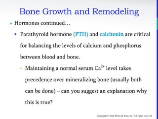 Copyright © John Wiley & Sons, Inc. All rights reserved.
Bone Growth and Remodeling
 Hormones continued…
 Parathyroid hormone (PTH) and calcitonin are critical
for balancing the levels of calcium and phosphorus
between blood and bone.
• Maintaining a normal serum Ca2+
level takes
precedence over mineralizing bone (usually both
can be done) – can you suggest an explanation why
this is true?
 