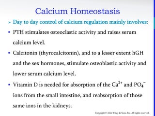 Copyright © John Wiley & Sons, Inc. All rights reserved.
Calcium Homeostasis
 Day to day control of calcium regulation mainly involves:
 PTH stimulates osteoclastic activity and raises serum
calcium level.
 Calcitonin (thyrocalcitonin), and to a lesser extent hGH
and the sex hormones, stimulate osteoblastic activity and
lower serum calcium level.
 Vitamin D is needed for absorption of the Ca2+
and PO4
–
ions from the small intestine, and reabsorption of those
same ions in the kidneys.
 