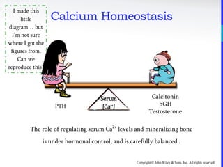 Copyright © John Wiley & Sons, Inc. All rights reserved.
Calcium Homeostasis
The role of regulating serum Ca2+
levels and mineralizing bone
is under hormonal control, and is carefully balanced .
I made this
little
diagram… but
I’m not sure
where I got the
figures from.
Can we
reproduce this?
PTH
Calcitonin
hGH
Testosterone
 