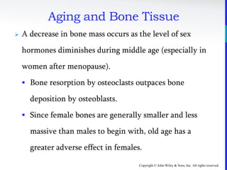 Copyright © John Wiley & Sons, Inc. All rights reserved.
Aging and Bone Tissue
 A decrease in bone mass occurs as the level of sex
hormones diminishes during middle age (especially in
women after menopause).
 Bone resorption by osteoclasts outpaces bone
deposition by osteoblasts.
 Since female bones are generally smaller and less
massive than males to begin with, old age has a
greater adverse effect in females.
 