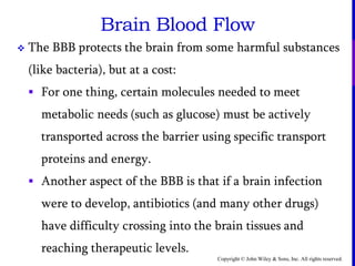 Copyright © John Wiley & Sons, Inc. All rights reserved.
Brain Blood Flow
 The BBB protects the brain from some harmful substances
(like bacteria), but at a cost:
 For one thing, certain molecules needed to meet
metabolic needs (such as glucose) must be actively
transported across the barrier using specific transport
proteins and energy.
 Another aspect of the BBB is that if a brain infection
were to develop, antibiotics (and many other drugs)
have difficulty crossing into the brain tissues and
reaching therapeutic levels.
 