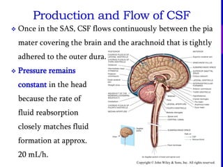 Copyright © John Wiley & Sons, Inc. All rights reserved.
 Once in the SAS, CSF flows continuously between the pia
mater covering the brain and the arachnoid that is tightly
adhered to the outer dura.
 Pressure remains
constant in the head
because the rate of
fluid reabsorption
closely matches fluid
formation at approx.
20 mL/h.
Production and Flow of CSF
 