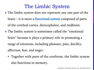 Copyright © John Wiley & Sons, Inc. All rights reserved.
The Limbic System
 The limbic system does not represent any one part of the
brain – it is more a functional system composed of parts
of the cerebral cortex, diencephalon, and midbrain.
 The limbic system is sometimes called the “emotional
brain” because it plays a primary role in promoting a
range of emotions, including pleasure, pain, docility,
affection, fear, and anger.
 Together with parts of the cerebrum, the limbic system
also functions in memory.
 