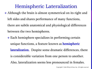 Copyright © John Wiley & Sons, Inc. All rights reserved.
Hemispheric Lateralization
 Although the brain is almost symmetrical on its right and
left sides and shares performance of many functions,
there are subtle anatomical and physiological differences
between the two hemispheres.
 Each hemisphere specializes in performing certain
unique functions, a feature known as hemispheric
lateralization. Despite some dramatic differences, there
is considerable variation from one person to another.
Also, lateralization seems less pronounced in females.
 