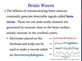Copyright © John Wiley & Sons, Inc. All rights reserved.
Brain Waves
 The billions of communicating brain neurons
constantly generate detectable signals called brain
waves. Those we can more easily measure are
generated by neurons close to the brain surface,
mainly neurons in the cerebral cortex.
 Electrodes placed on the
forehead and scalp can be
used to make a record called
an electroencephalogram.
 