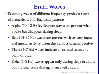 Copyright © John Wiley & Sons, Inc. All rights reserved.
Brain Waves
 Summing waves of different frequency produces some
characteristic, and diagnostic patterns.
 Alpha (10–12 Hz (cycles/sec) waves are present when
awake but disappear during sleep.
 Beta (14–30 Hz) waves are present with sensory input
and mental activity when the nervous system is active.
 Theta (4–7 Hz) waves indicate emotional stress or a
brain disorder.
 Delta (1–5 Hz) waves appear only during sleep in adults
but indicate brain damage in an awake adult.
 