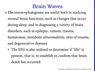 Copyright © John Wiley & Sons, Inc. All rights reserved.
Brain Waves
 Electroencephalograms are useful both in studying
normal brain functions, such as changes that occur
during sleep, and in diagnosing a variety of brain
disorders, such as epilepsy, tumors, trauma,
hematomas, metabolic abnormalities, sites of trauma,
and degenerative diseases.
 The EEG is also utilized to determine if “life” is
present, that is, to establish or confirm that brain
death has occurred.
 