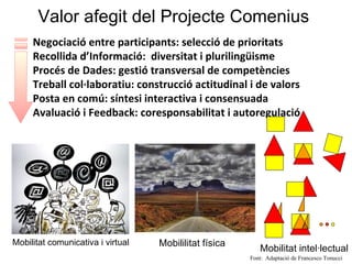 Valor afegit del Projecte Comenius  Negociació entre participants: selecció de prioritats Recollida d’Informació:  diversitat i plurilingüisme Procés de Dades: gestió transversal de competències Treball col·laboratiu: construcció actitudinal i de valors Posta en comú: síntesi interactiva i consensuada Avaluació i Feedback: coresponsabilitat i autoregulació Mobilitat comunicativa i virtual Mobilitat intel·lectual Font:  Adaptació de Francesco Tonucci Mobililitat física 