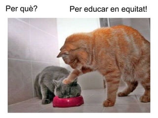 Per què?  Per educar en equitat ! 