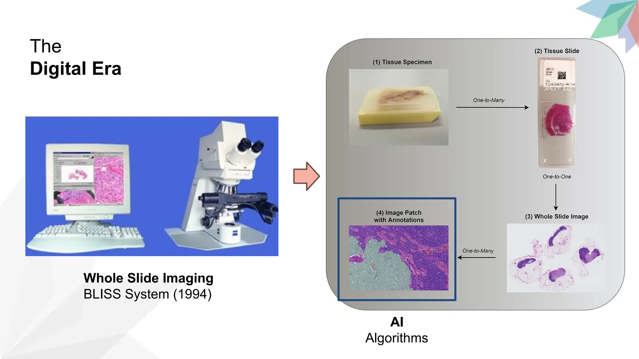 Whole Slide Imaging
BLISS System (1994)
AI
Algorithms
The
Digital Era
 